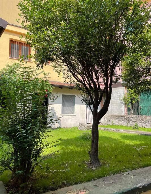 Apartmán Il Giardino Nascosto Omegna Exteriér fotografie